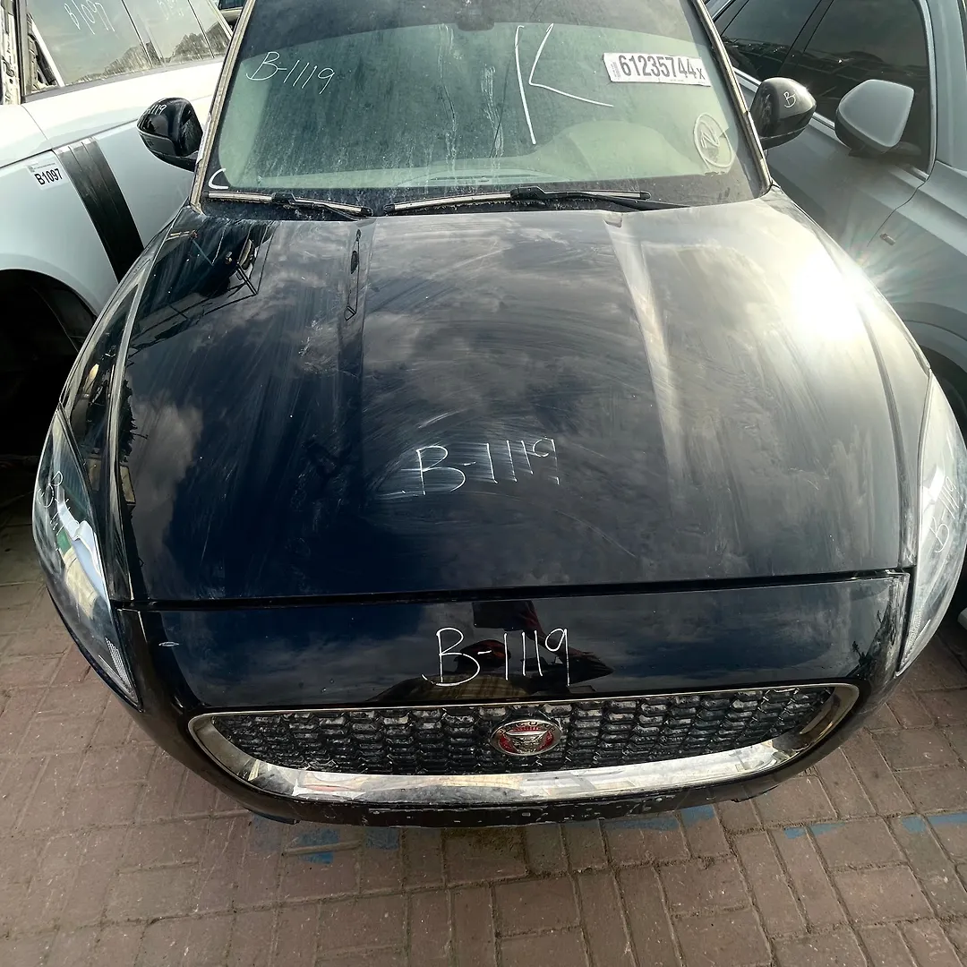 Hood/Bonnet - 2020 Jaguar E-Pace