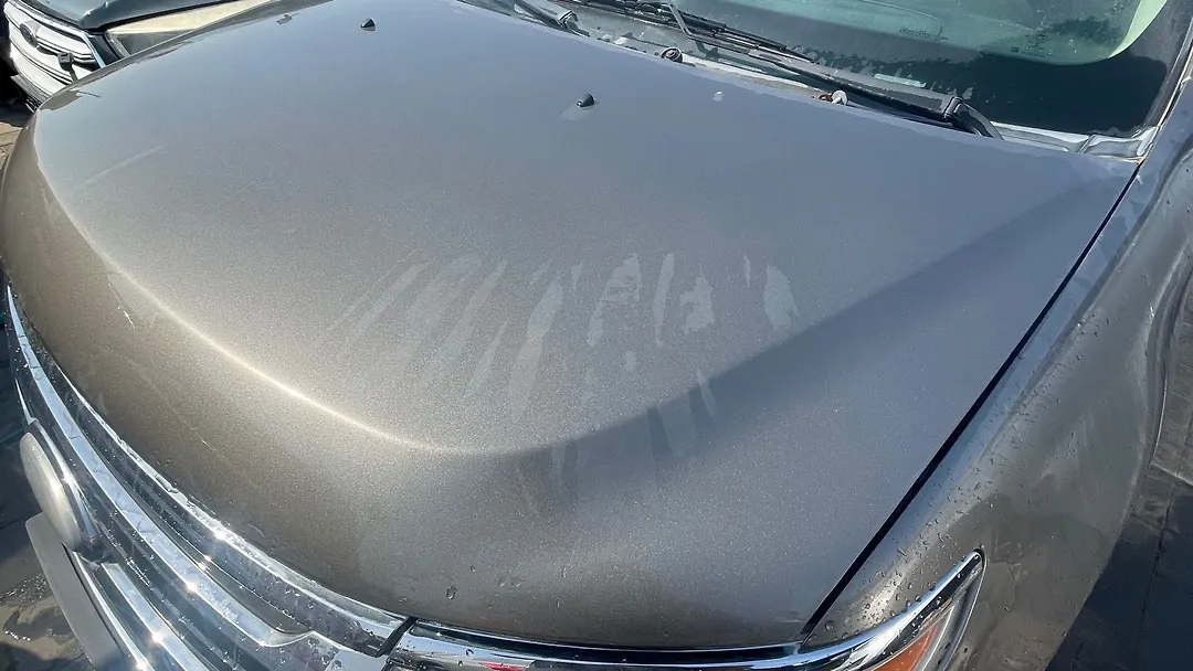 Hood/Bonnet - 2014 Ford Edge Limited