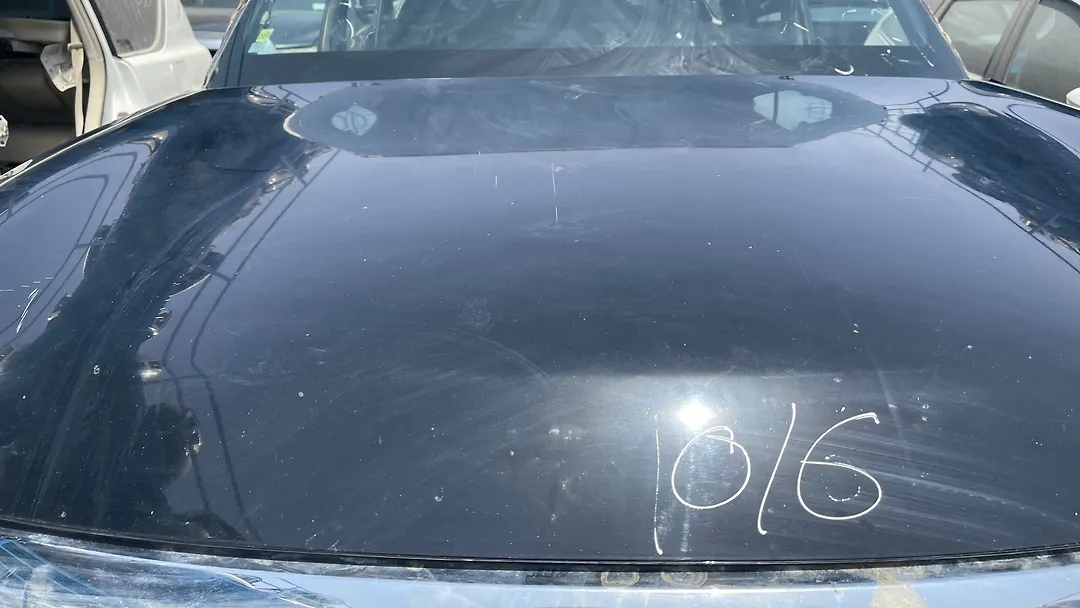 Hood/Bonnet - 2013 Infiniti QX56