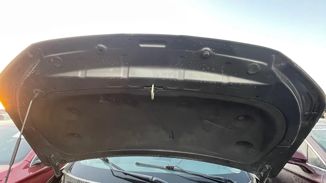 Hood/Bonnet - 2018 GMC Terrain Export Only