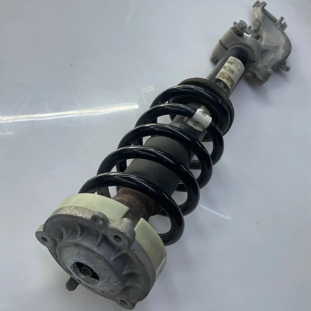 Shock Absorber (LHF) - 2019 Audi Q8