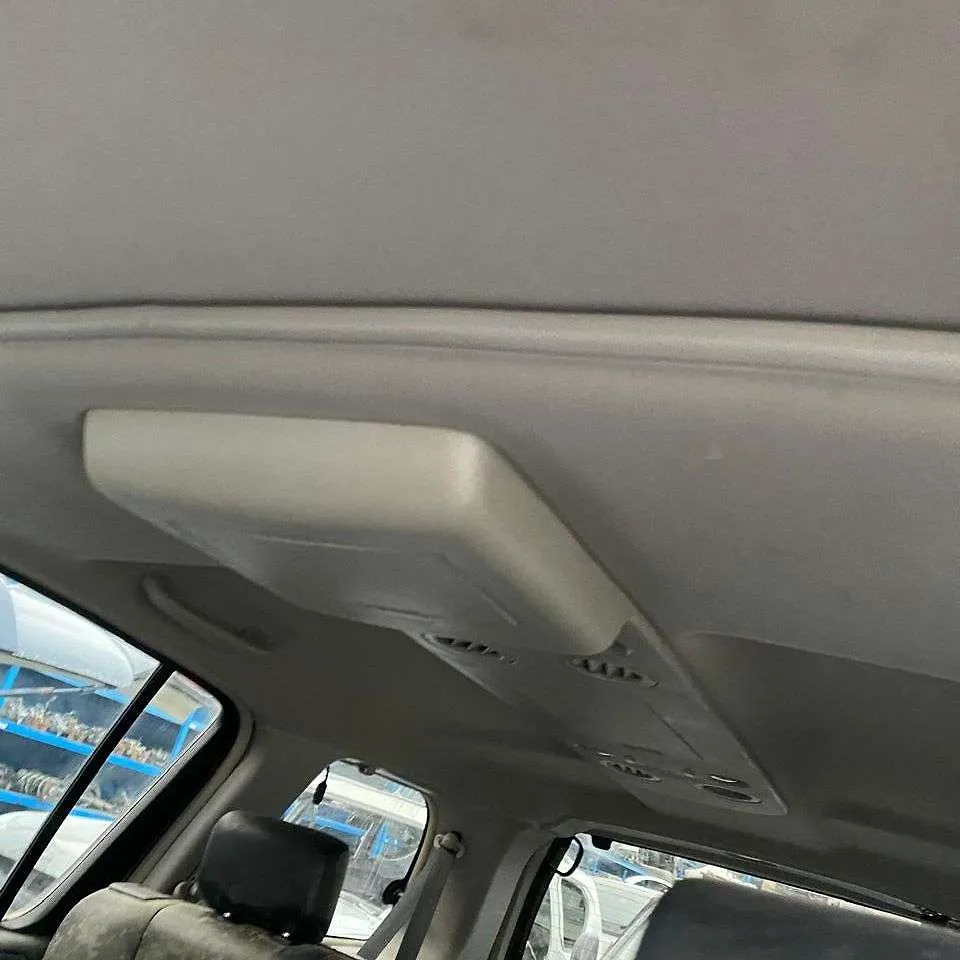 Roof Ceiling - 2010 Infiniti QX56 5.6i