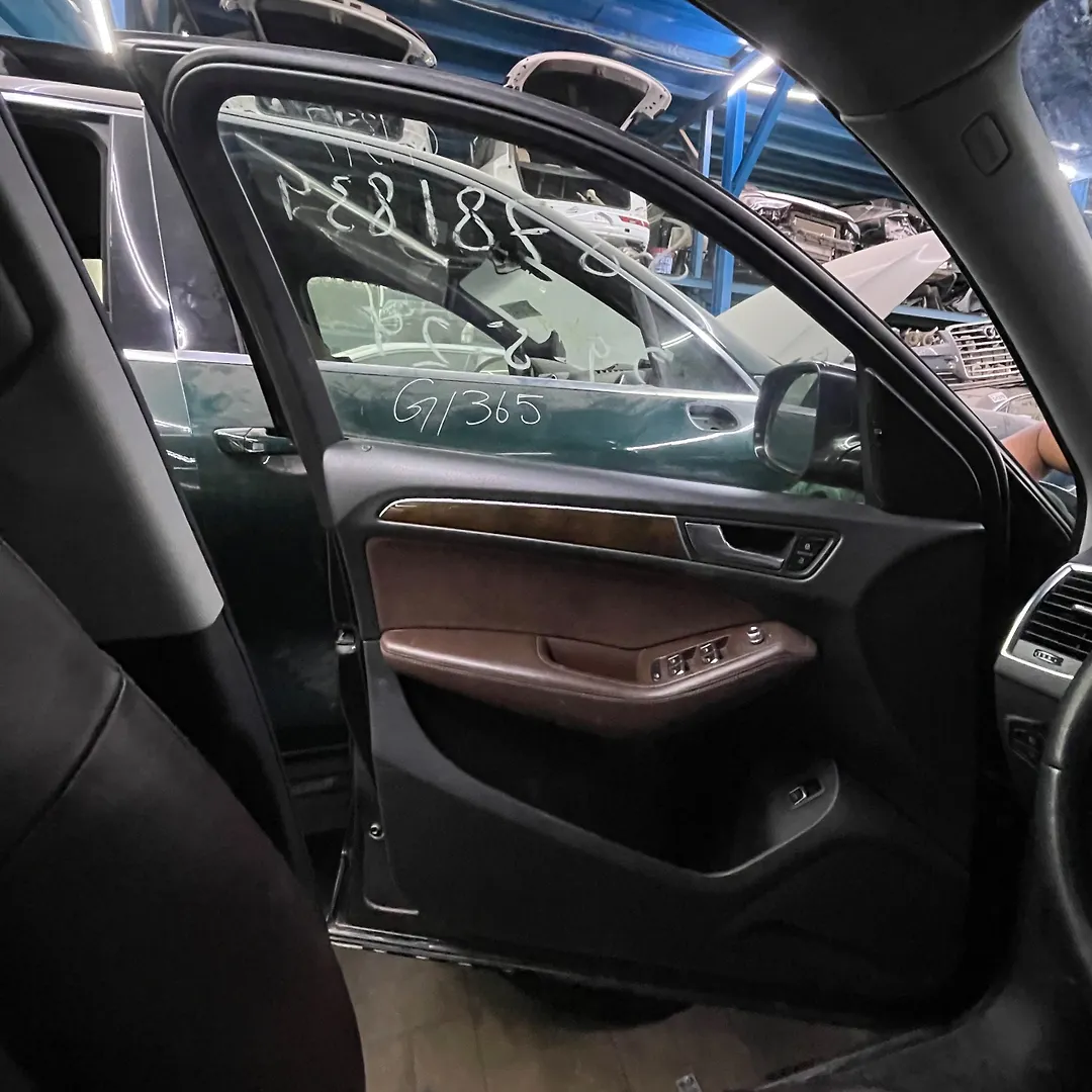 Door (LHF) - 2016 Audi Q5