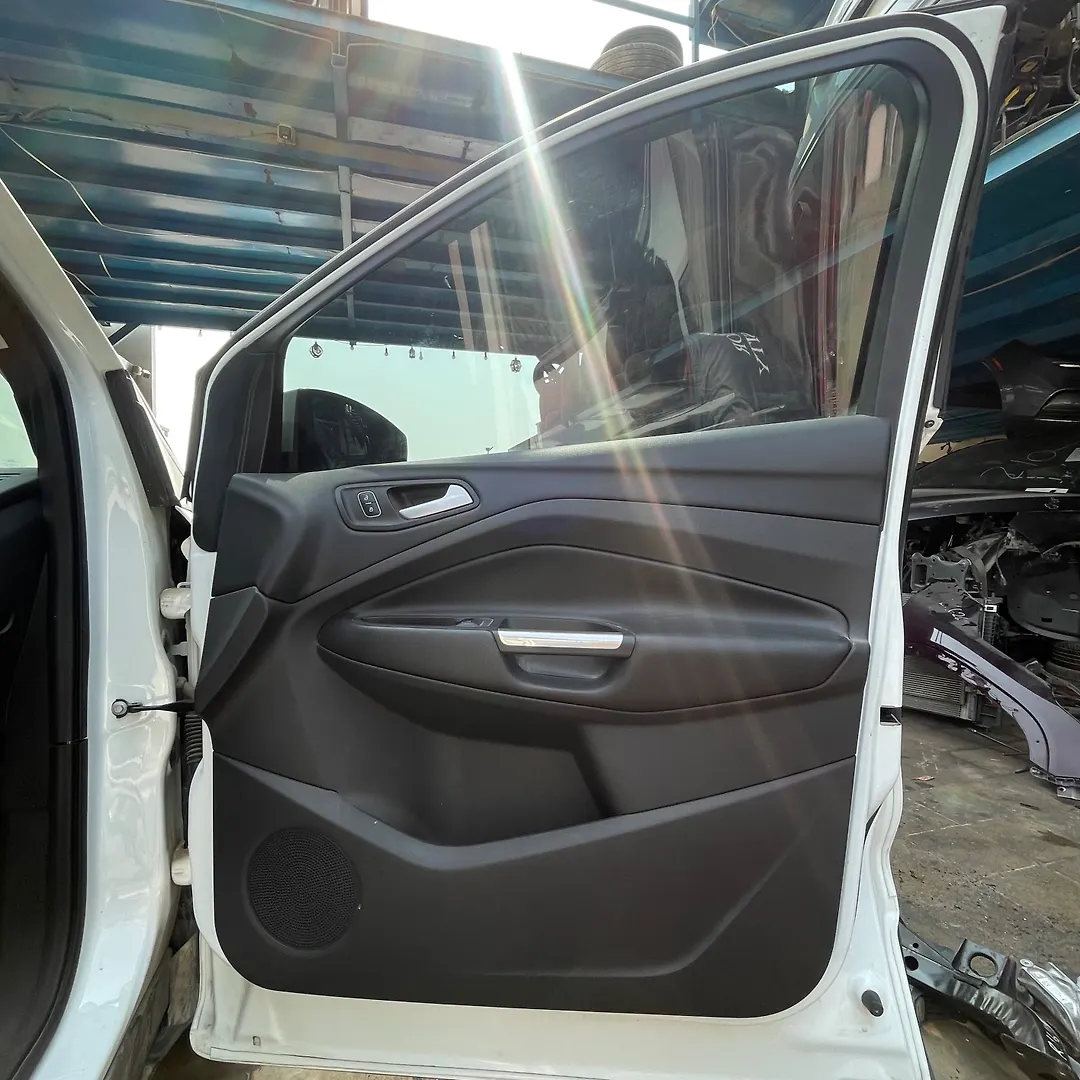 Door (RHF) - 2019 Ford Escape