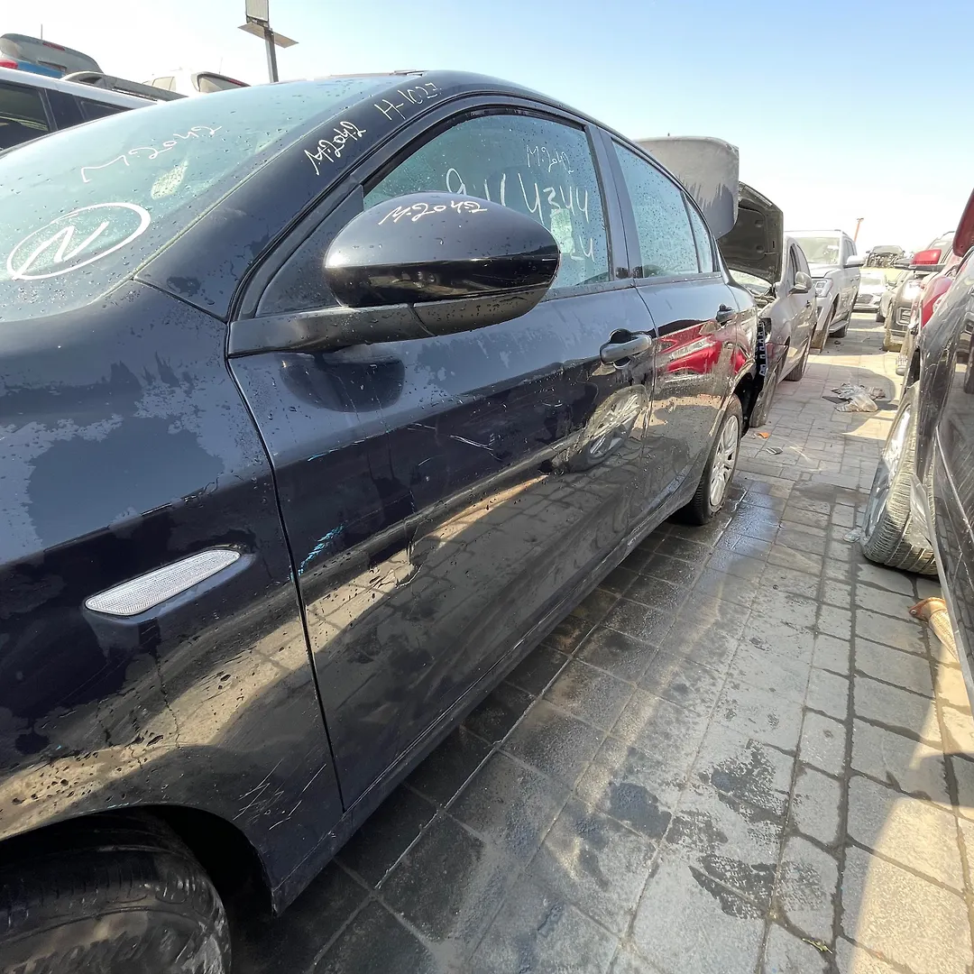 Door (LHF) - 2017 Dodge Neon