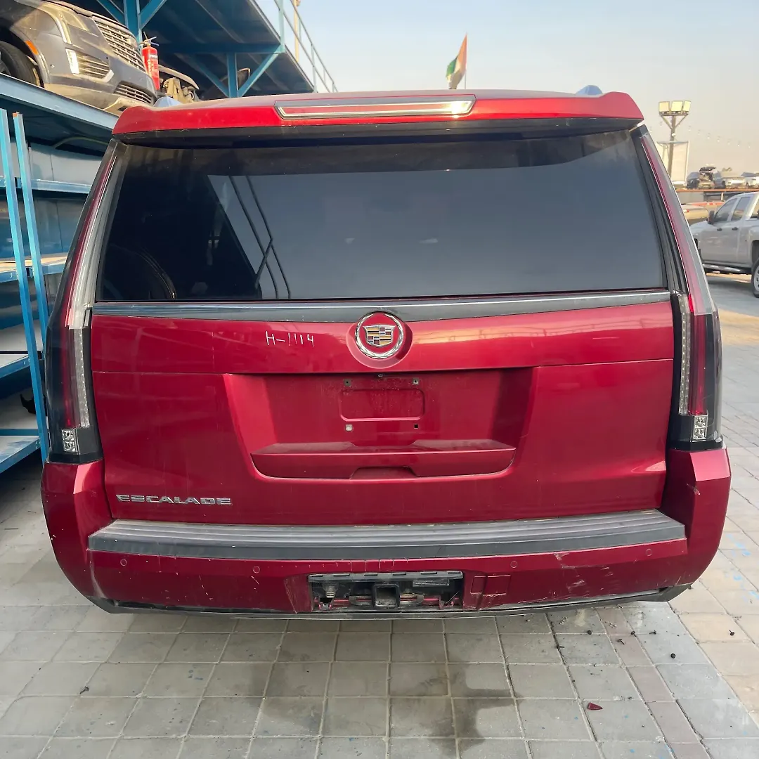 Trunk/hatch/tailgate - 2015 Cadillac Escalade Premium