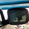 Side Mirror (RH) - 2015 Infiniti QX60