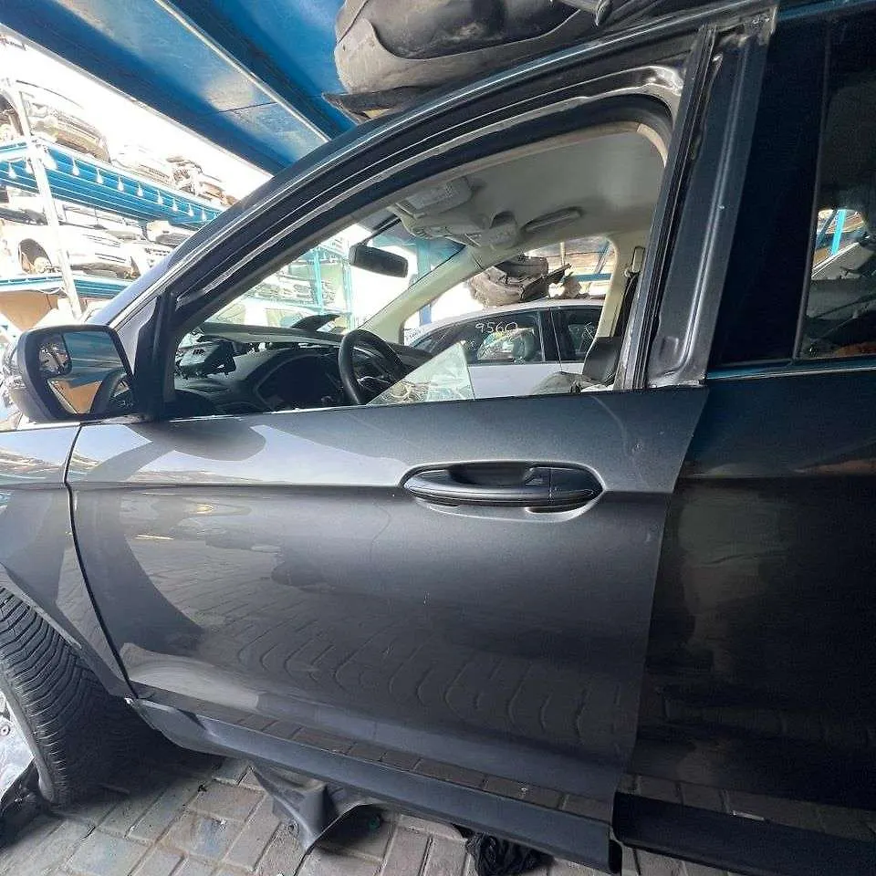 Door (LHF) - 2017 Ford Edge