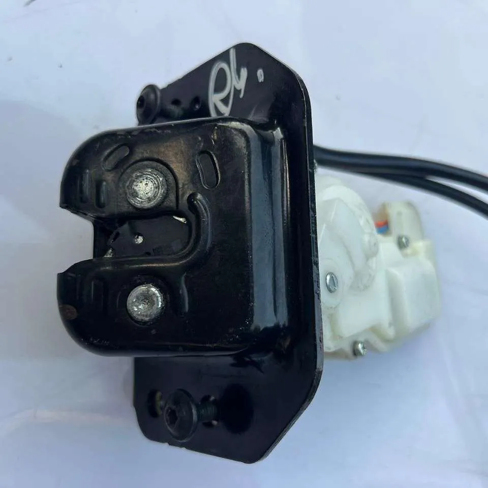Trunk Lock - 2016 Ford Escape