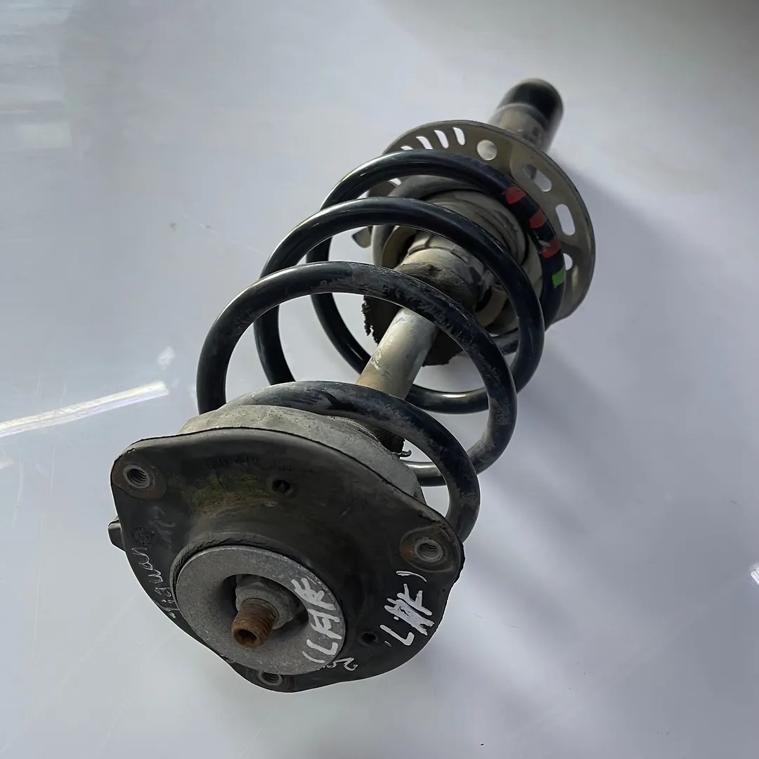 Shock Absorber (LHF) - 2010 Volkswagen Tiguan