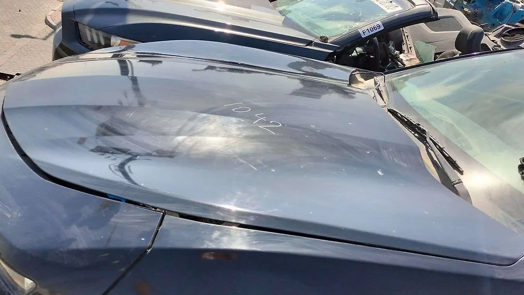 Hood/Bonnet - 2016 Chevrolet Camaro