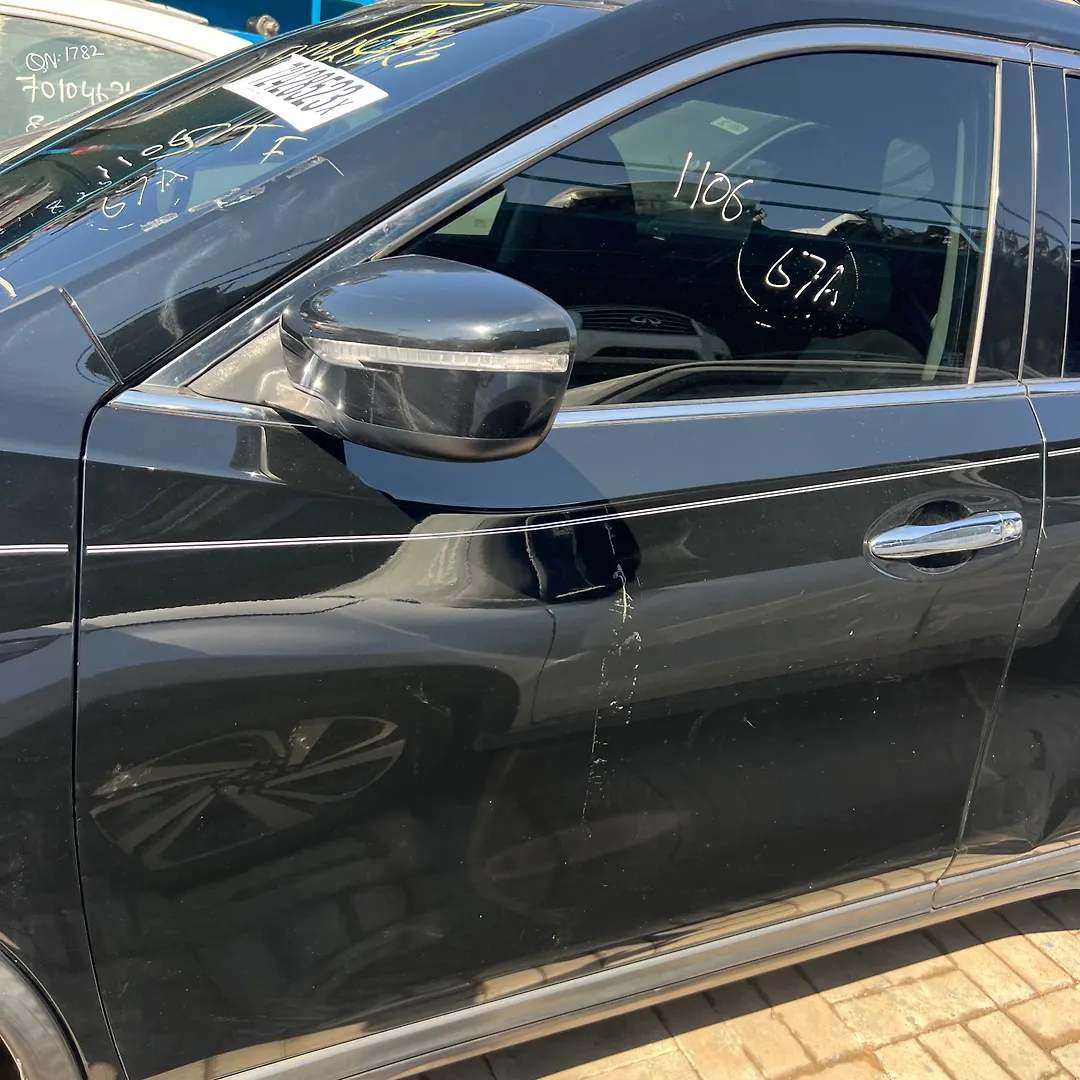 Door (LHF) - 2015 Nissan Rogue