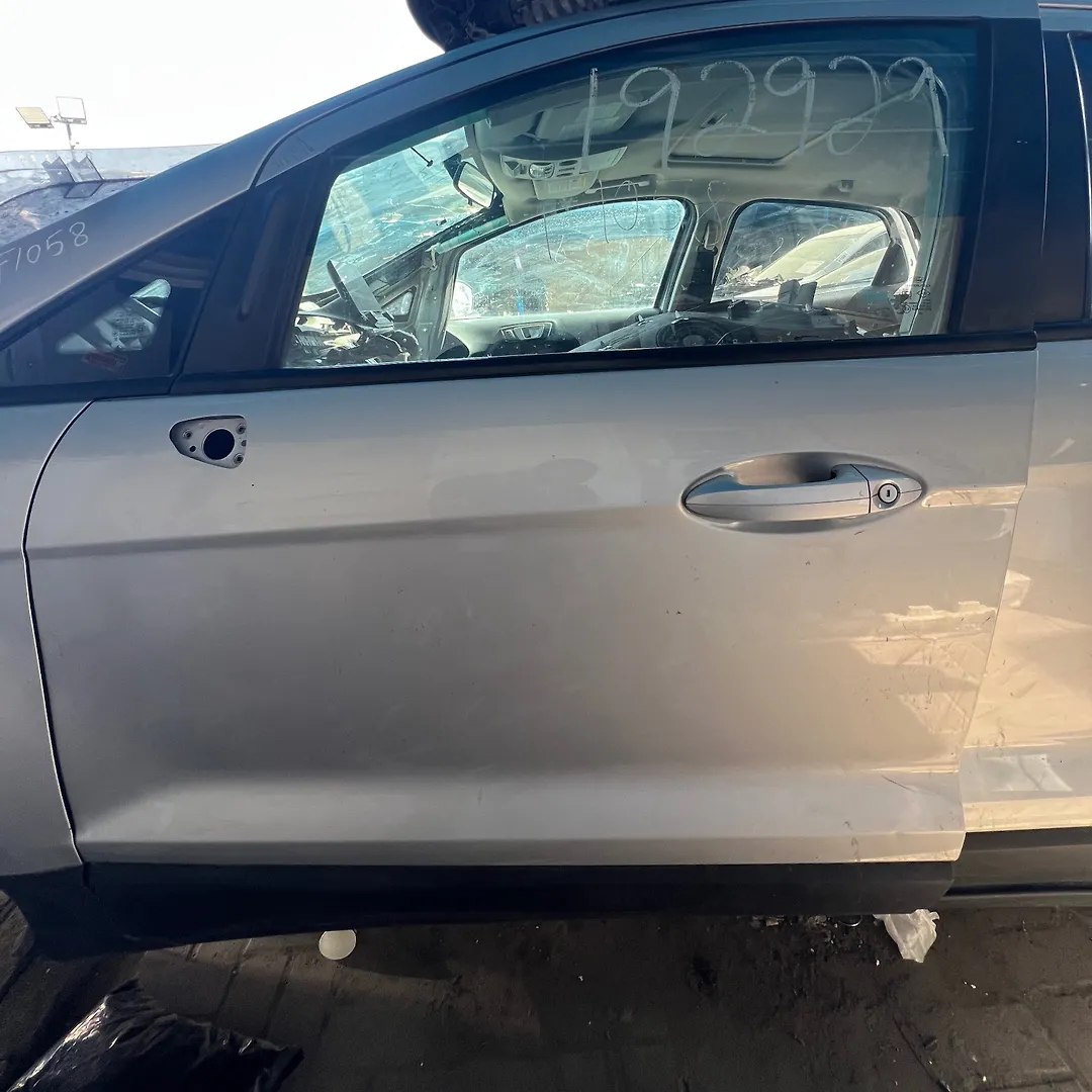 Door (LHF) - 2018 Ford EcoSport