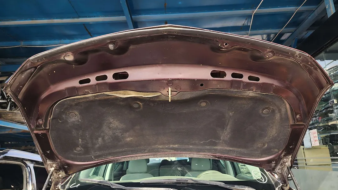 Hood/Bonnet - 2019 Chevrolet Traverse