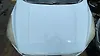 Hood/Bonnet - 2019 Ford Escape