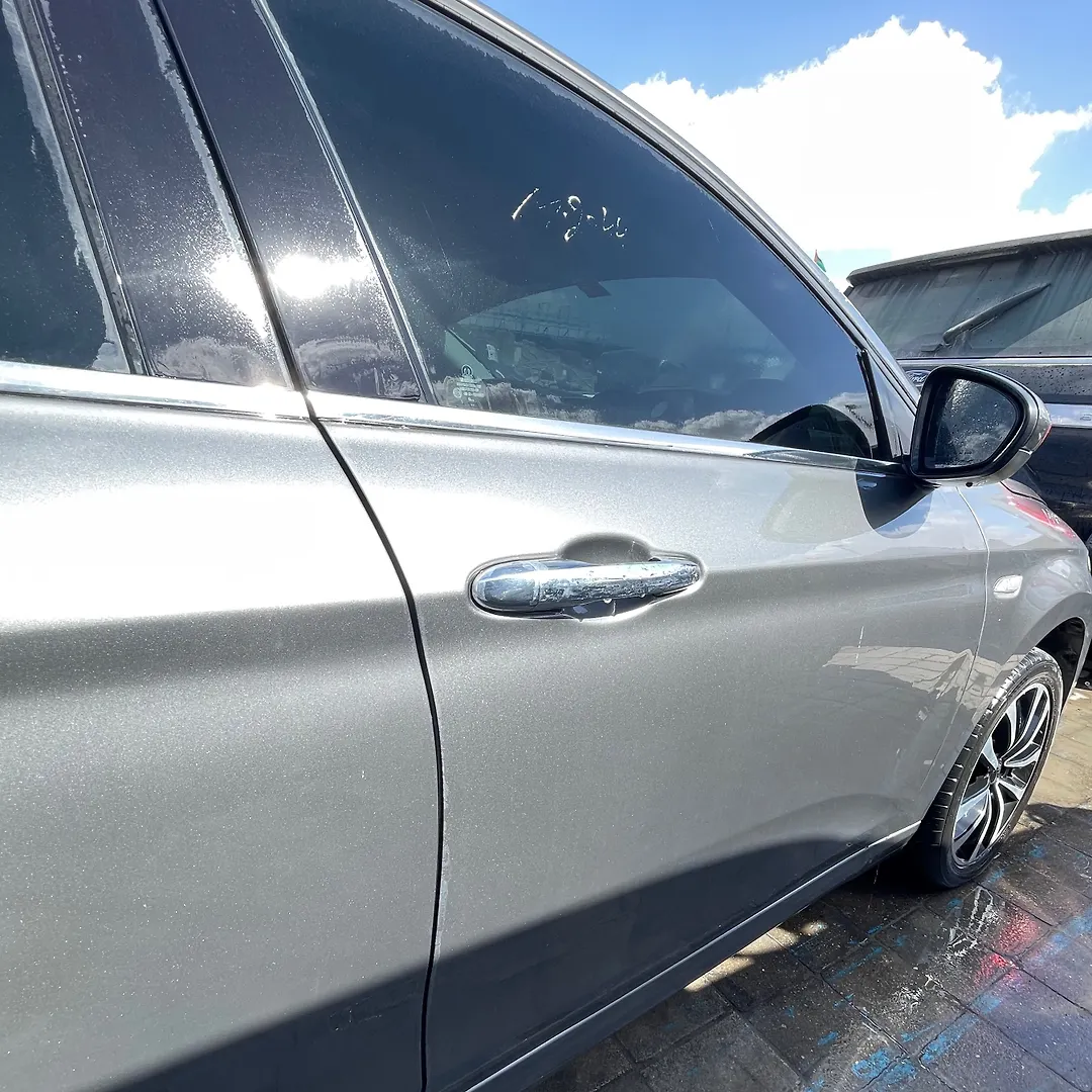 Door (RHF) - 2017 Dodge Neon