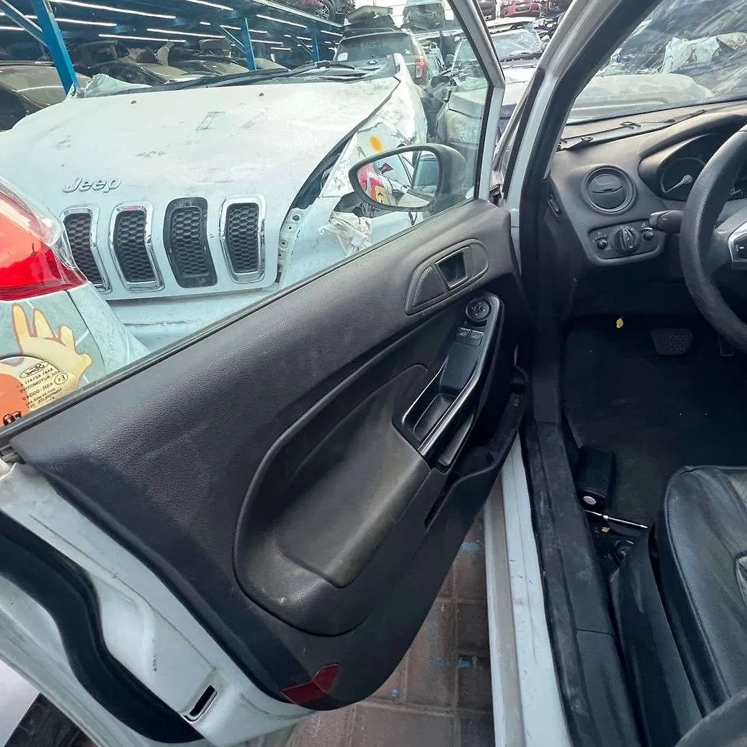 Door (LHF) - 2015 Ford Fiesta