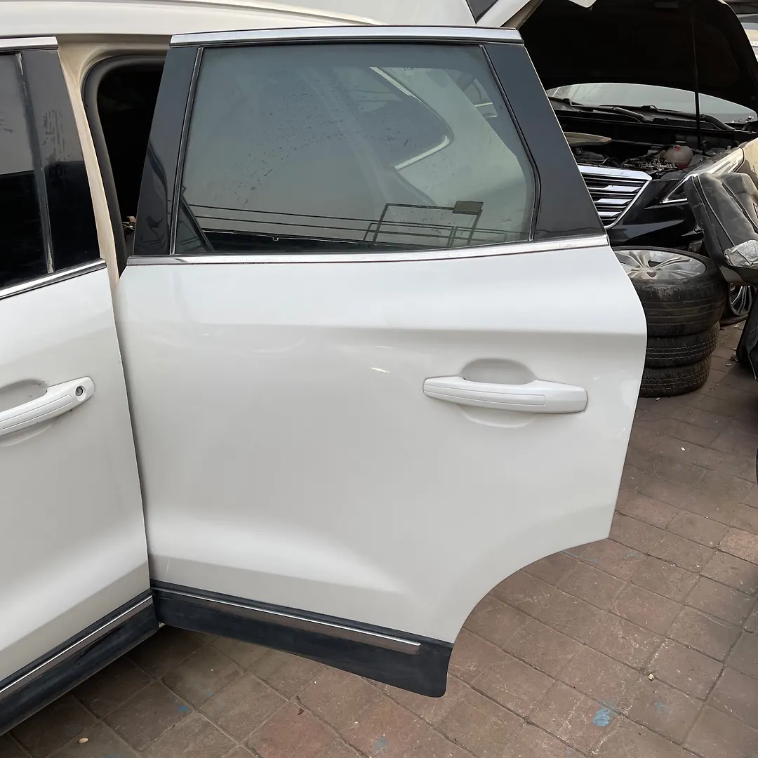 Door (LHB) - 2019 Lincoln MKC