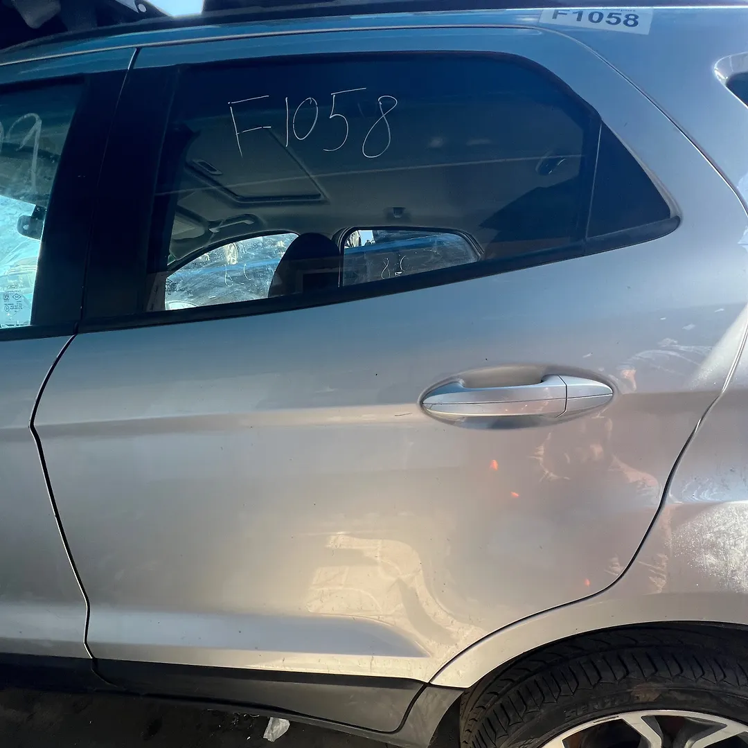 Door (LHB) - 2018 Ford EcoSport