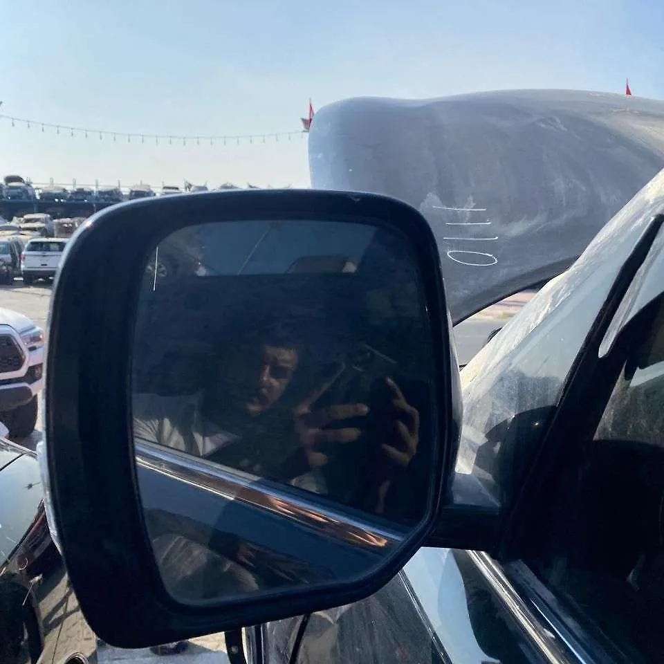 Side Mirror (LH) - 2011 Infiniti QX56