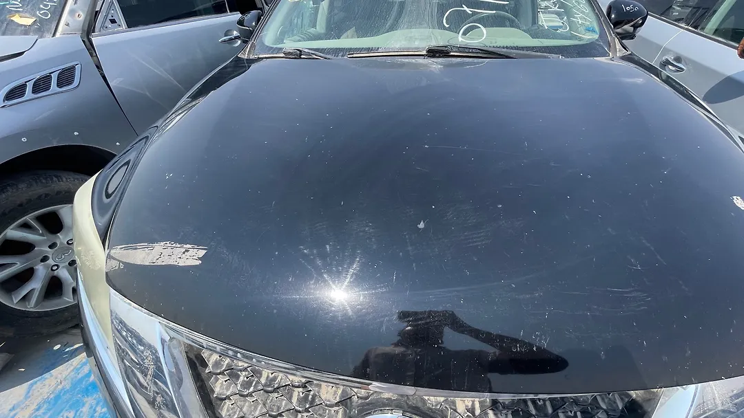 Hood/Bonnet - 2013 Nissan Pathfinder