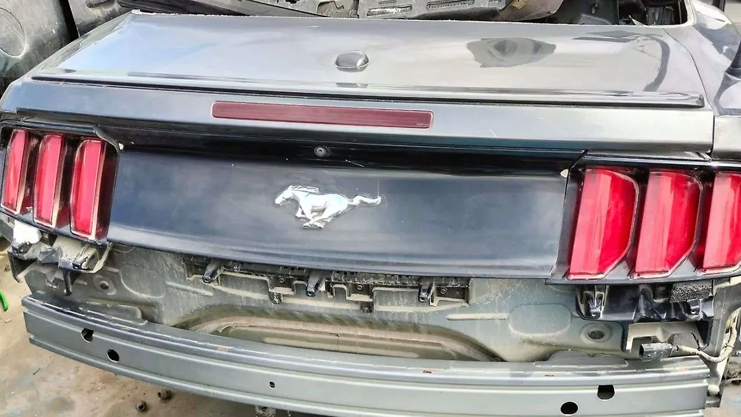 Tailgate - 2017 Ford Mustang