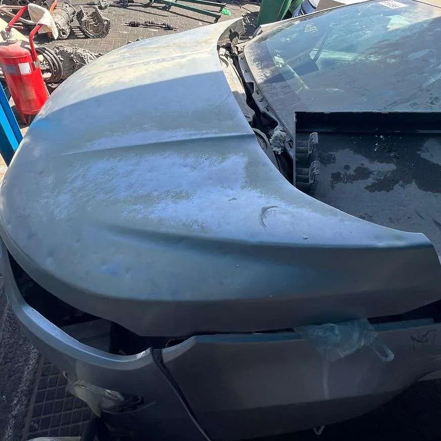 Hood/Bonnet - 2018 Ford EcoSport