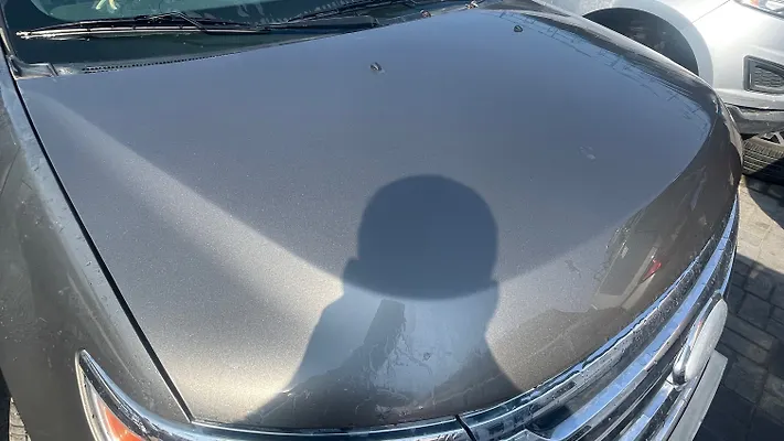 Hood/Bonnet - 2014 Ford Edge Limited