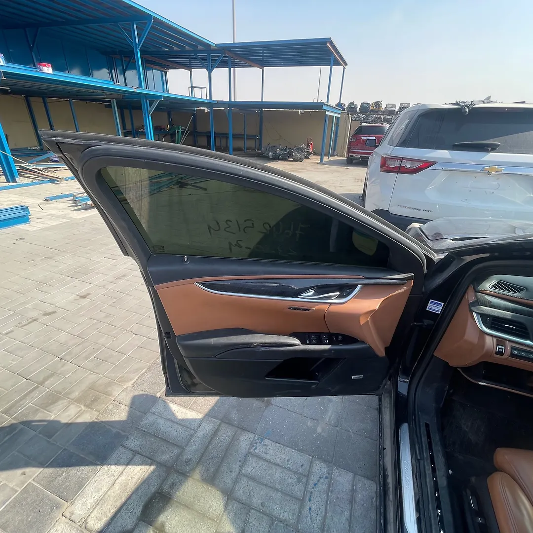 Door (LHF) - 2014 Cadillac XTS
