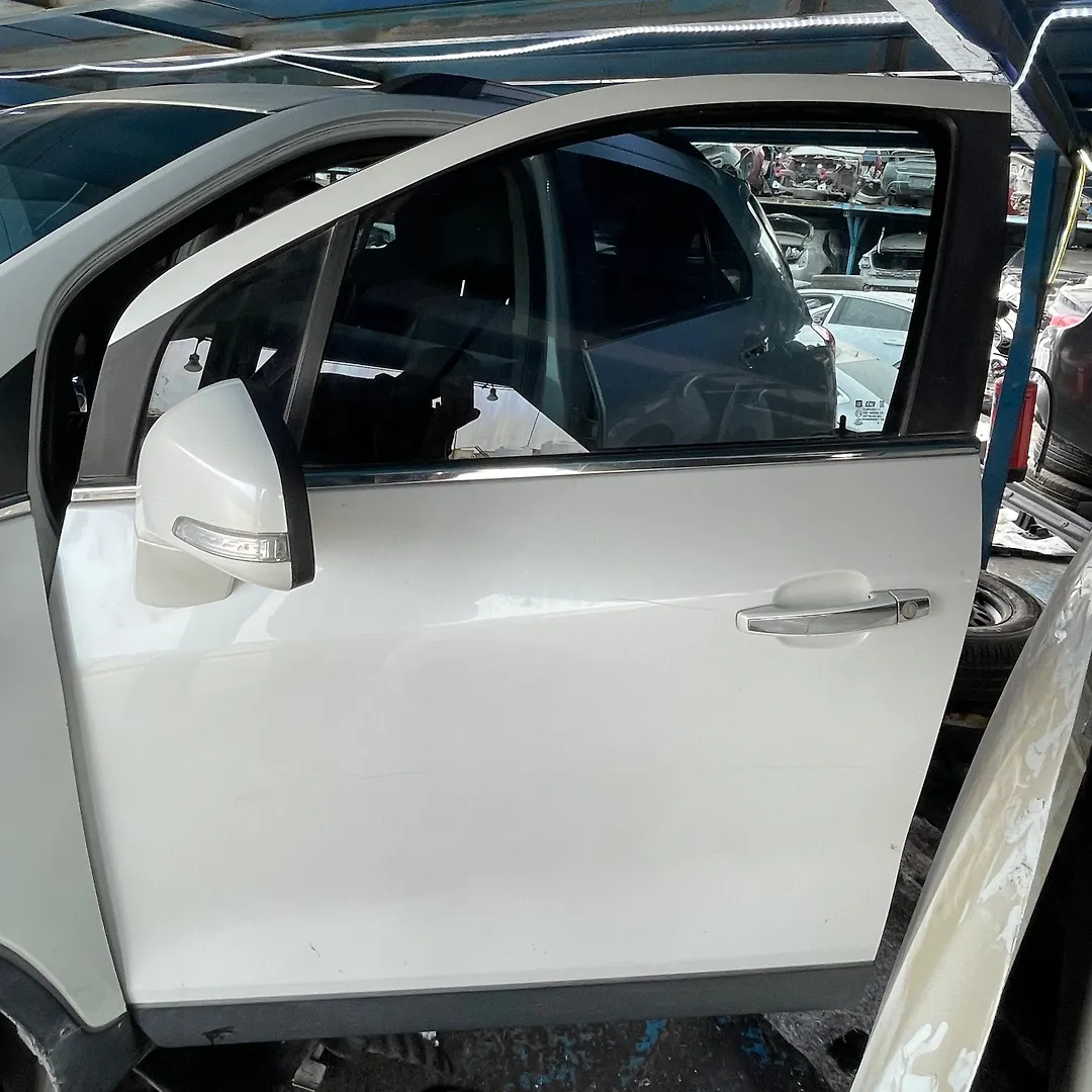 Door (LHF) - 2016 Chevrolet Trax