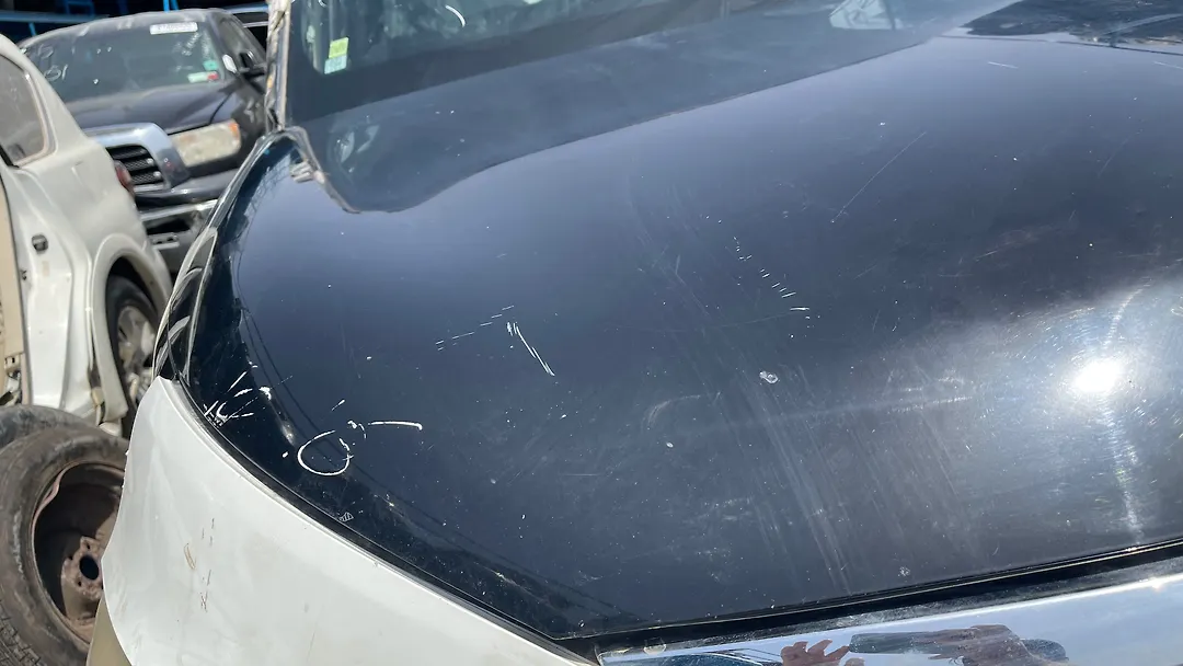 Hood/Bonnet - 2013 Infiniti QX56