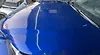 Hood/Bonnet - 2022 Lexus NX300