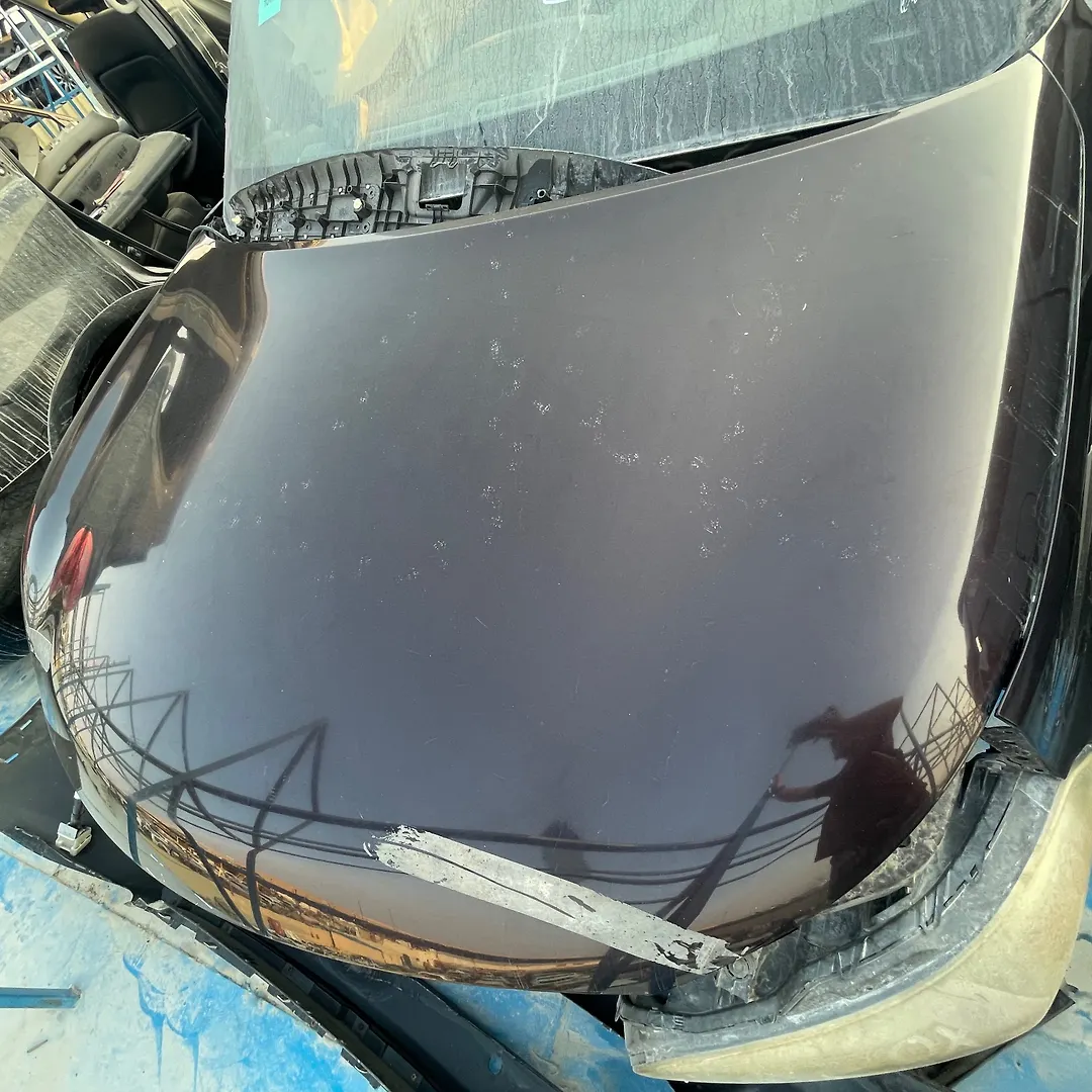 Hood/Bonnet - 2012 Infiniti QX56