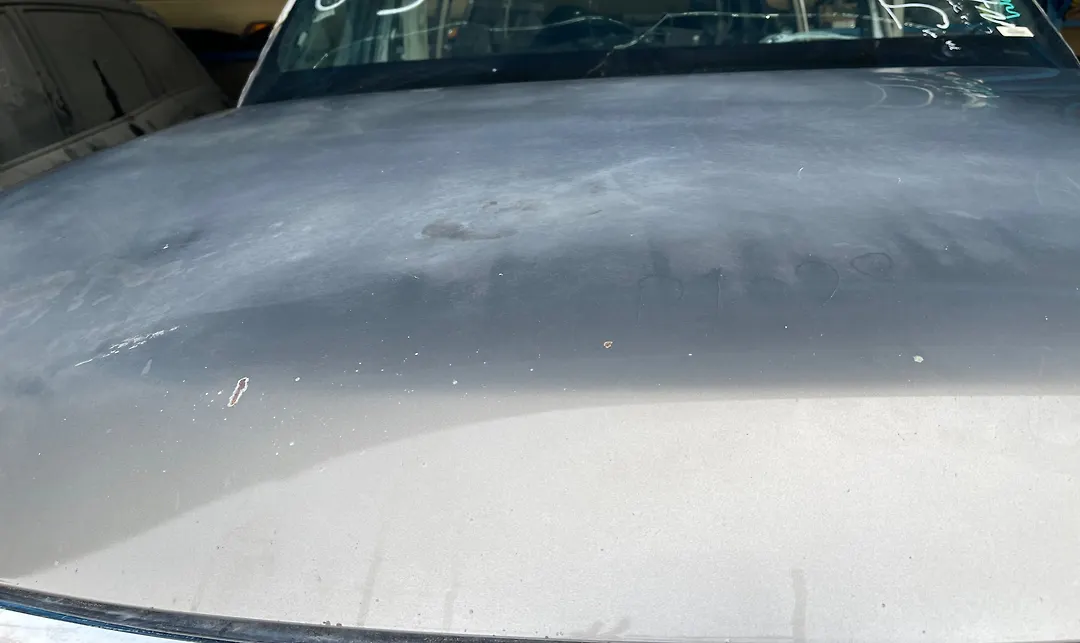 Hood/Bonnet - 2013 Infiniti QX56
