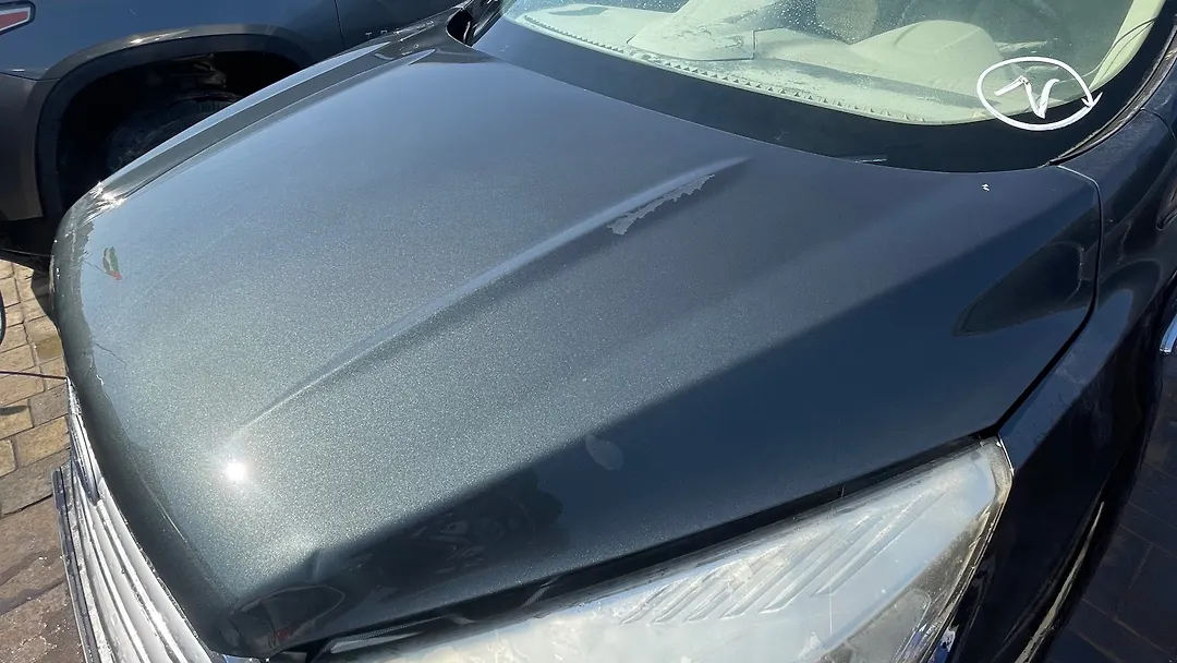 Hood/Bonnet - 2018 Ford Escape