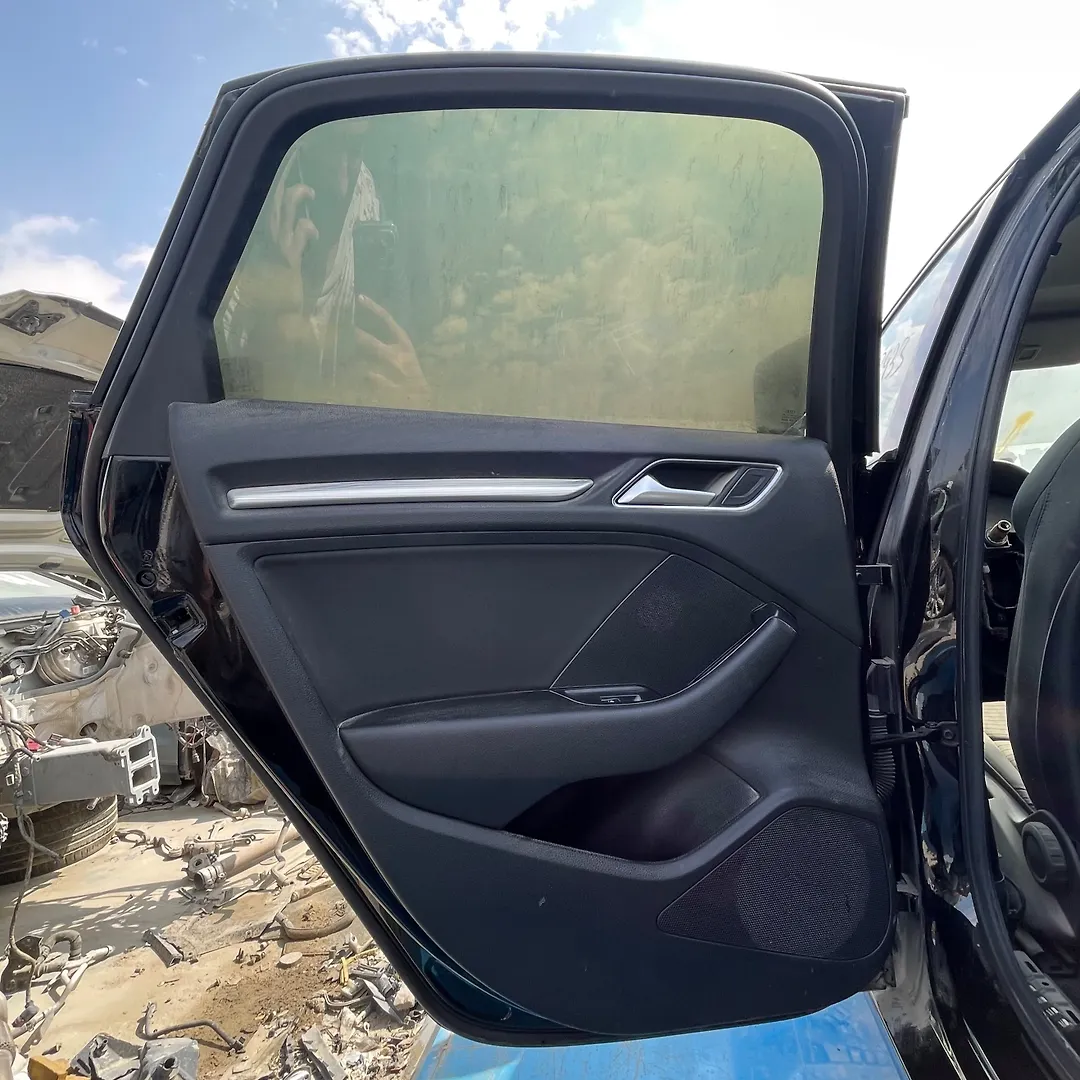 Door (LHB) - 2019 Audi A3