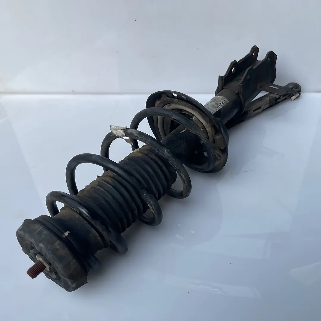 Shock Absorber (LHF) - 2016 Chevrolet Cruze