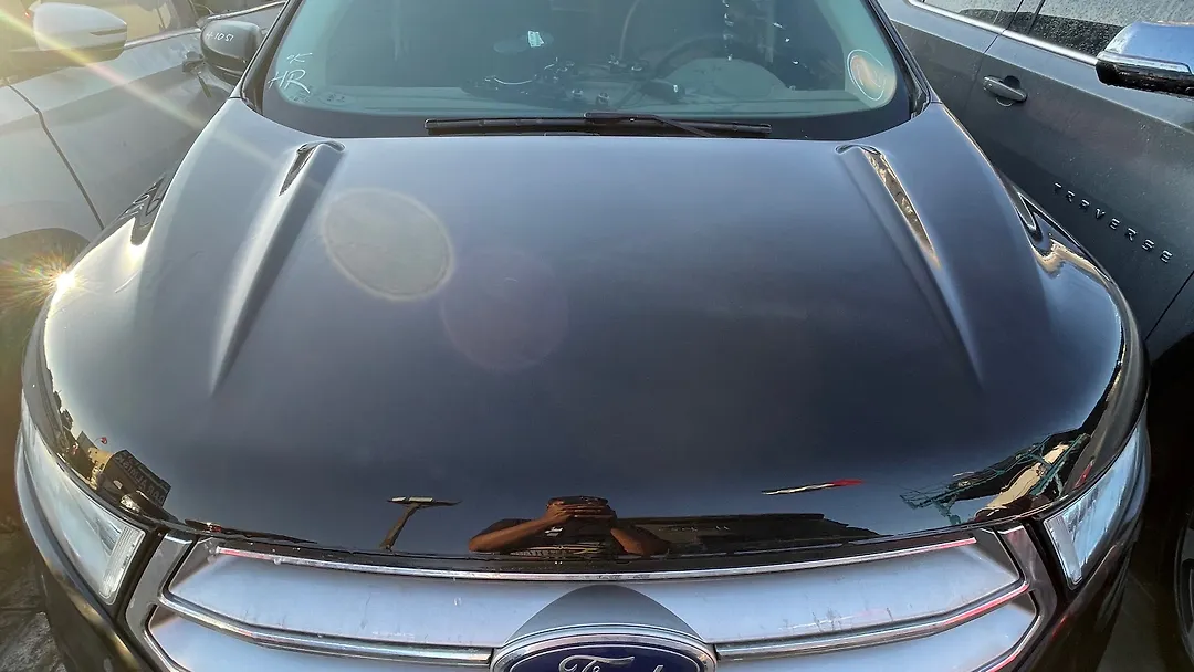 Hood/Bonnet - 2017 Ford Edge SE