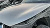 Hood/Bonnet - 2013 Infiniti QX56