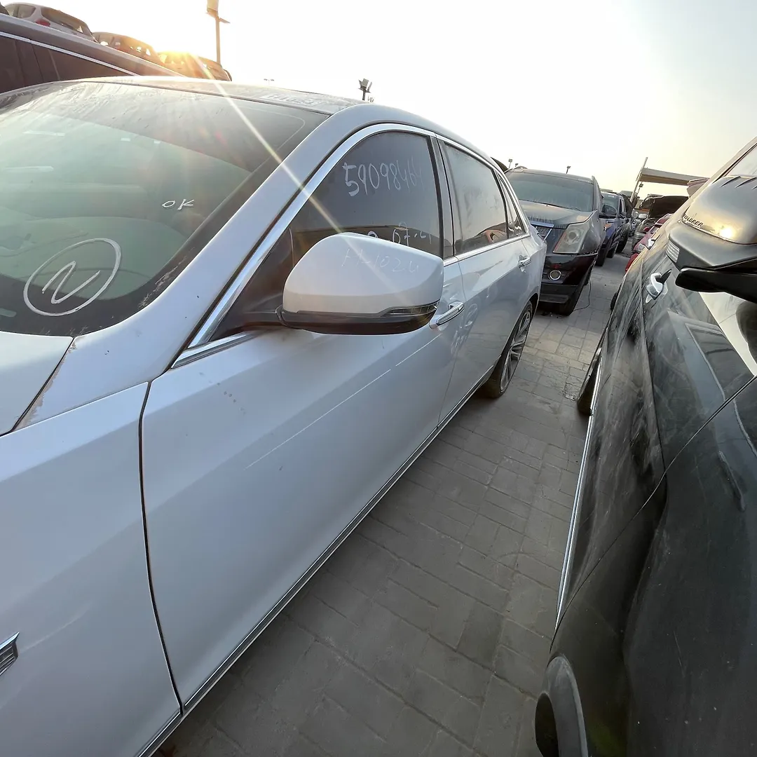 Door (LHF) - 2017 Cadillac CT6 Non-US, Non-Canada