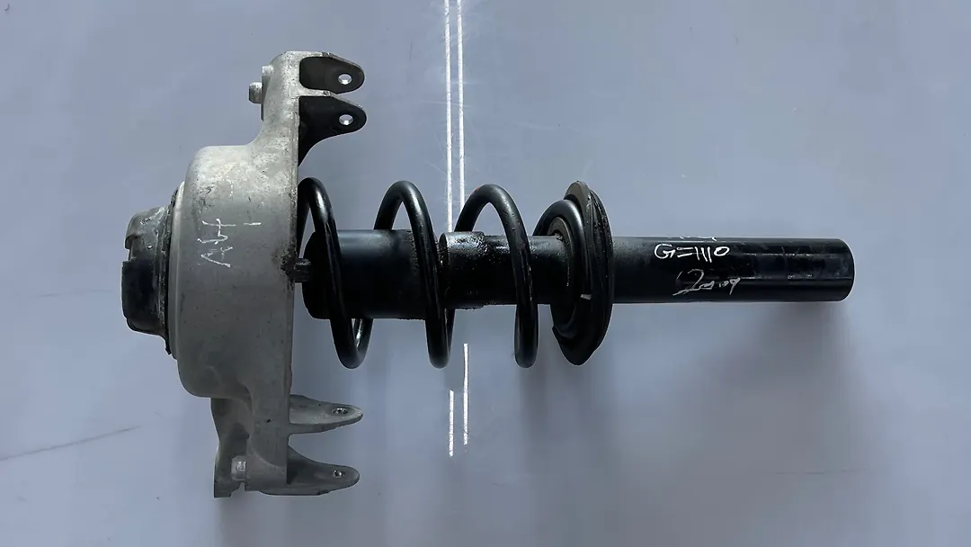 Shock Absober (LHB) - 2009 Audi A4