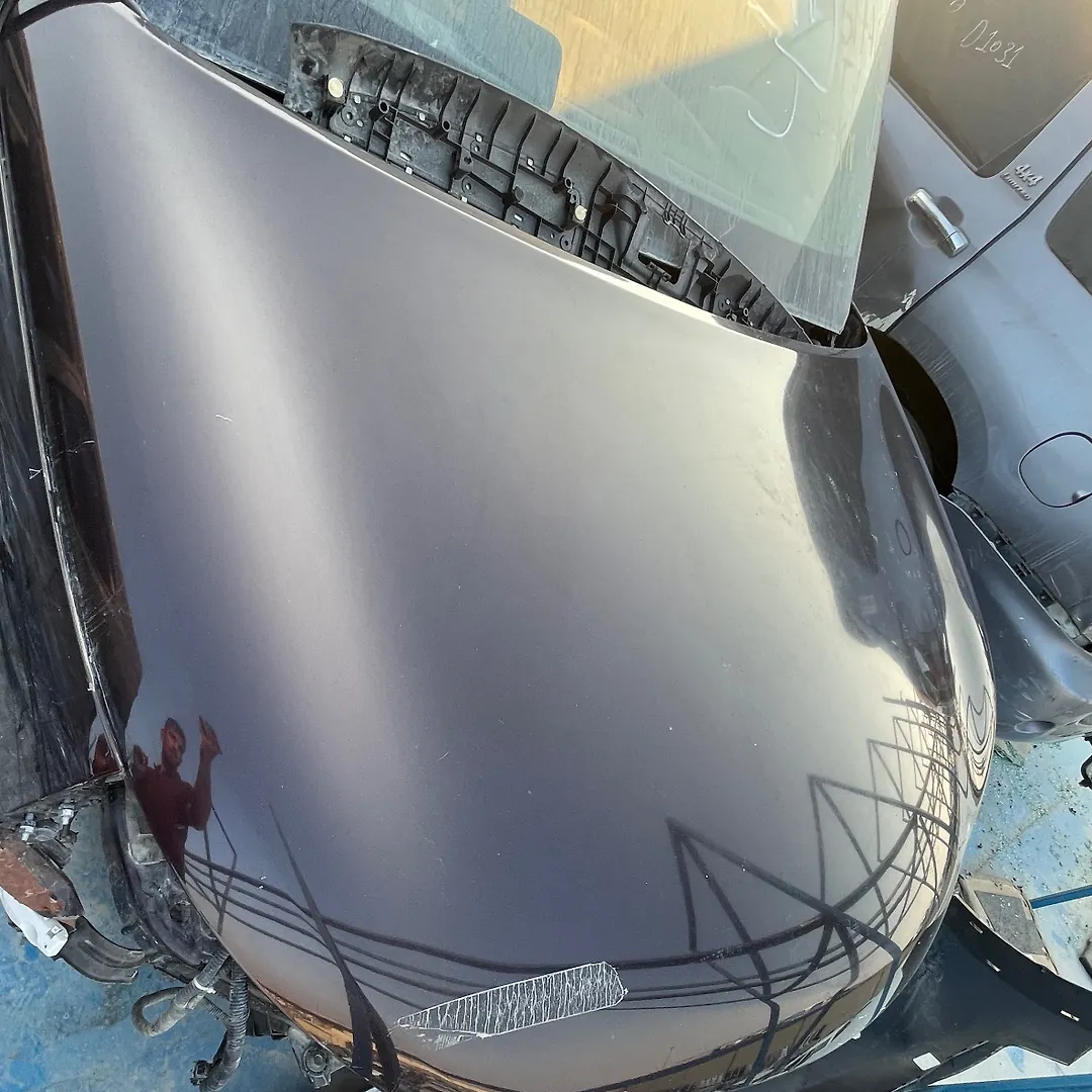 Hood/Bonnet - 2012 Infiniti QX56
