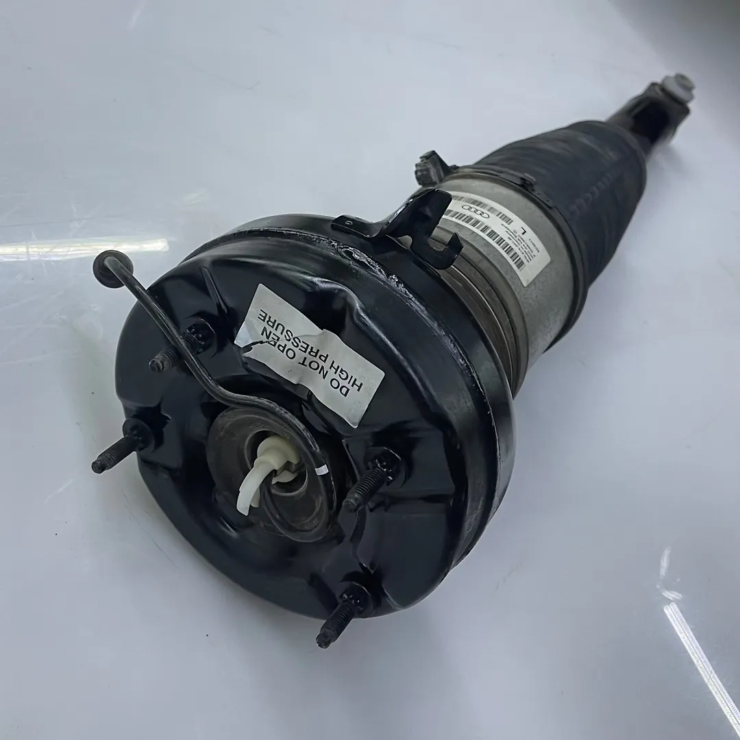 Shock Absober (LHB) - 2012 Audi A8