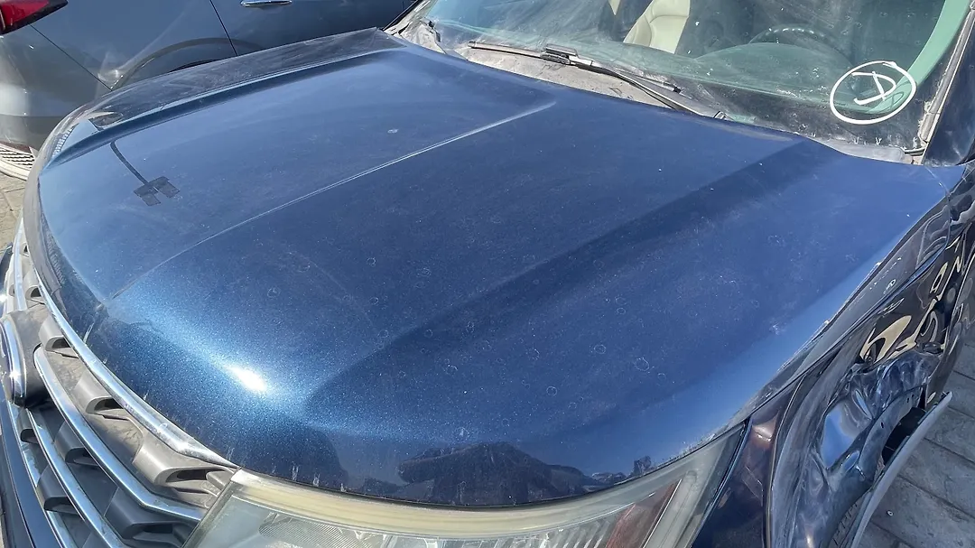 Hood/Bonnet - 2017 Ford Explorer Base