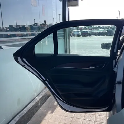 Door (LHB) - 2017 Cadillac CTS Luxury