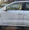 Door (LHF) - 2024 Ford Everest