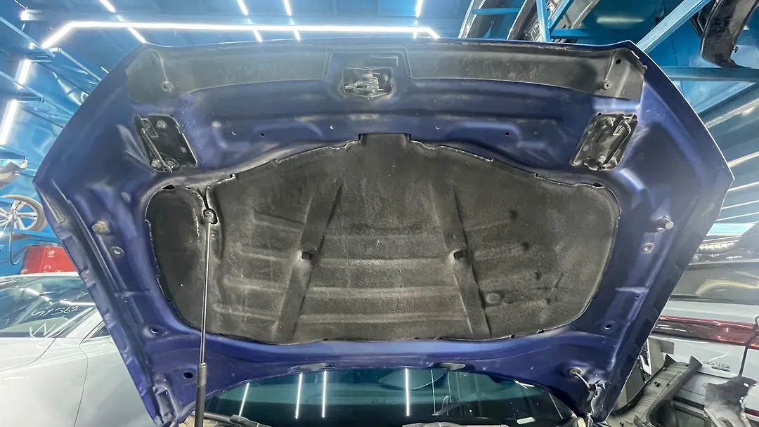 Hood/Bonnet - 2016 Audi S3