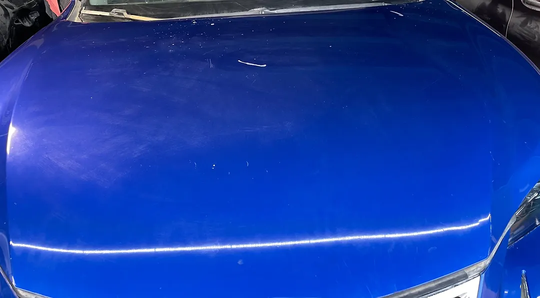 Hood/Bonnet - 2022 Lexus NX300