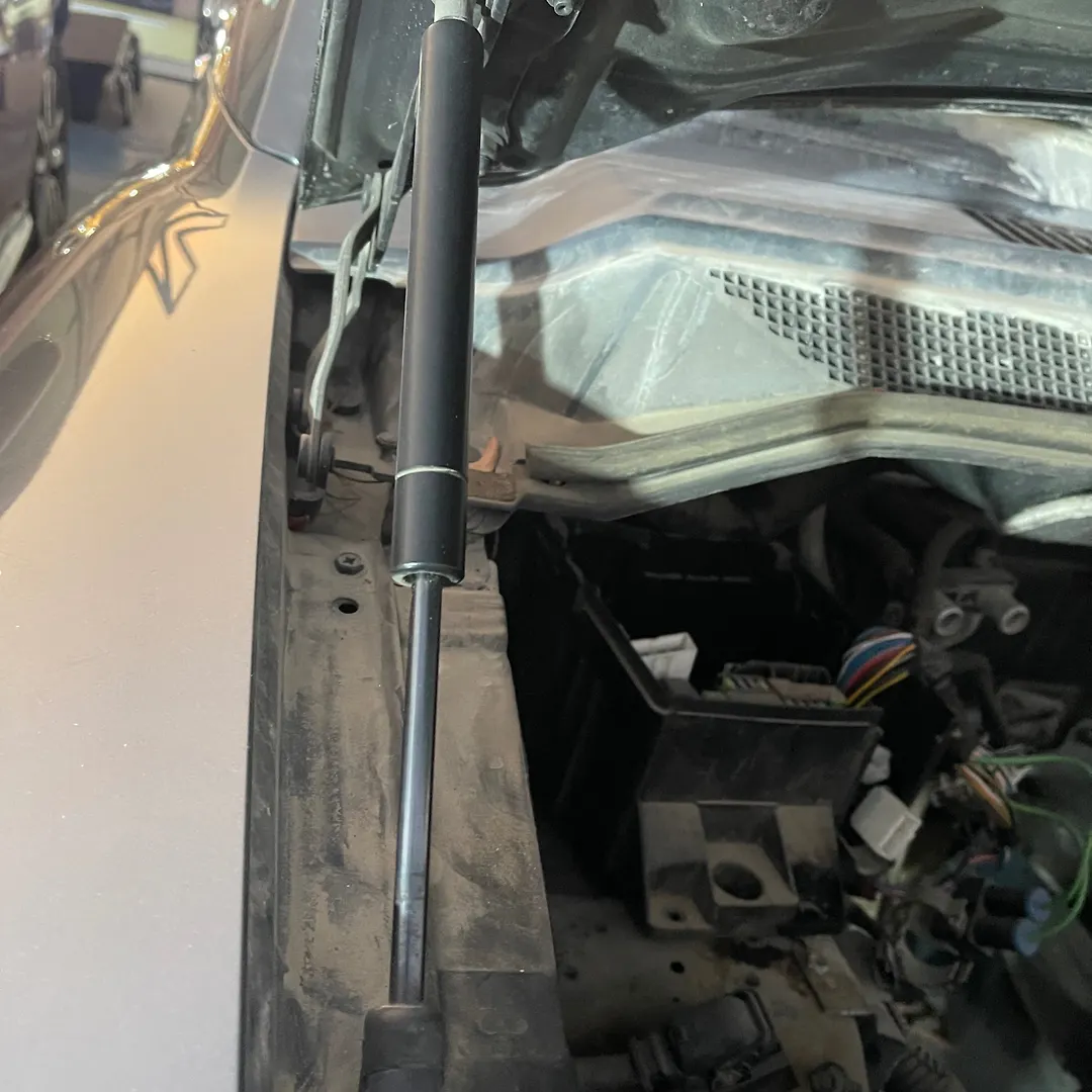 Bonnet Jumping - 2014 Nissan Armada SUV