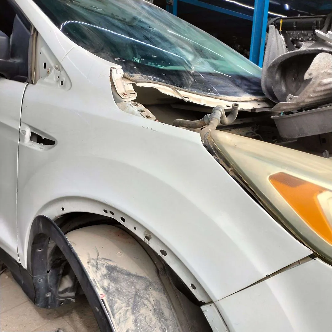 Fender (RHF) - 2017 Ford Escape